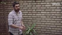 نقد+بررسی+معرفی فیلم هفت و نیم