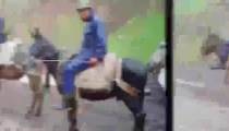 گردان قاطریزه