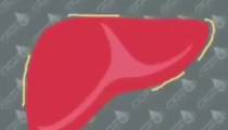 کبد چرب رو با مصرف مصفی خون طی 120روز درمان کنیم
