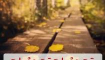 تبریک تولد برای متولدین 6 آبان