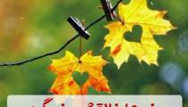 تبریک تولد برای متولدین 7 آبان
