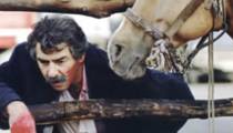 ردپای گرگ