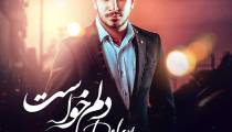 دانلود آهنگ محمد فخیم دلم خواست