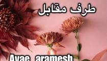 فال حال روحی طرف مقابل (99/9/8)