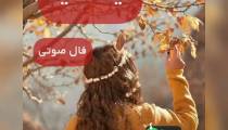 فال صوتی امروز 13 آذر 99