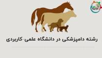 رشته دامپزشکی در دانشگاه علمی کاربردی