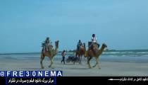 سریال رالی ایرانی2قسمت3|سریال رالی ایرانی2قسمت سوم