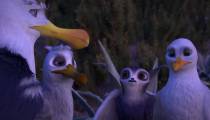 دانلود انیمیشن مانو پرستوی چابک 2019 Manou The Swift