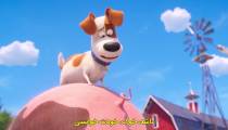 انیمیشن زندگی مخفی حیوانات خانگی 2 زیرنویس فارسی The Secret Life of Pets 2019