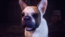 انیمیشن سگ های انتقامجو 2019 Avenger Dogs