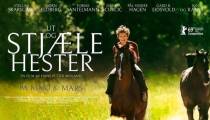 فیلم به هوای دزدیدن اسب ها Out Stealing Horses 2019