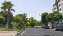 خیابان بهار تا سهروردی