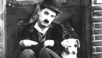 زندگی سگی - A Dog’s Life 1918
