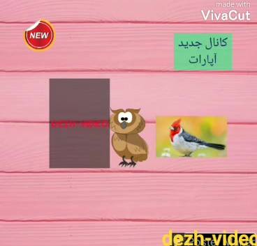 معرفی کانال آپارات