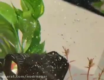 معرفی دوربین فیلم برداری VIXIA HF-w11 کانن CES 2019