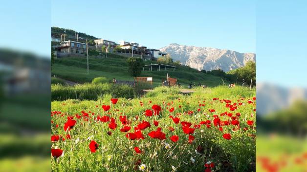 شهر جوانرود با روستاهای زیبا، بیوند علیا عملیات ضد عفونی توسط بله بو ژیان