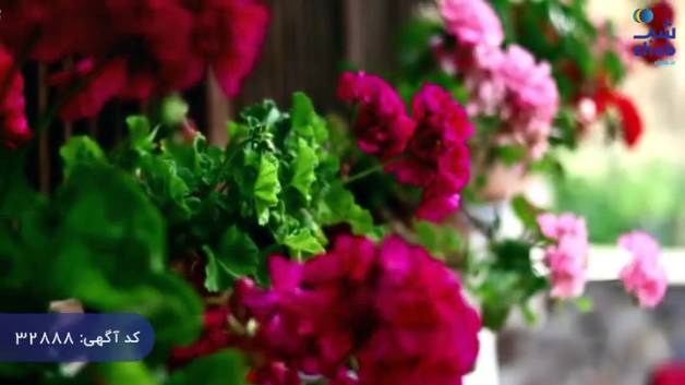 سفر به گیلان