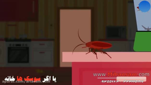 بهترین سم ضد مورچه خارجی