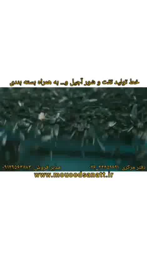 دستگاه تفت و بسته بندی آجیل
